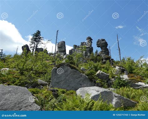 Landscape Of The Bavarian Forest With Rocks Stones Forest Stock Image