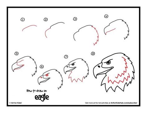 How To Draw A Realistic Bald Eagle Head Art For Kids Hub Kid