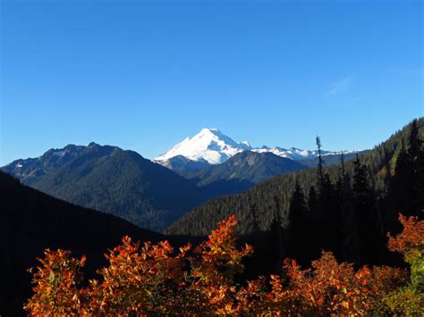 Best Time To See Washington Fall Colors 2024 When To See Roveme