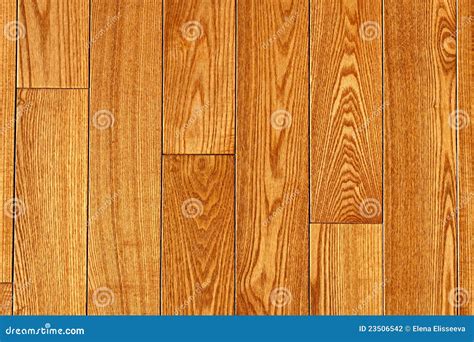 Hardwood Floor Stock Photo Image Of Stained Flooring 23506542