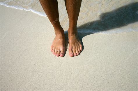 Close Up Of Mans Feet On Beach Stock Image F018 9366 Science