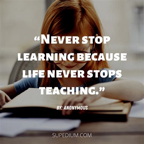 Never Stop Learning Because Life Never Stops Teaching Never Stop