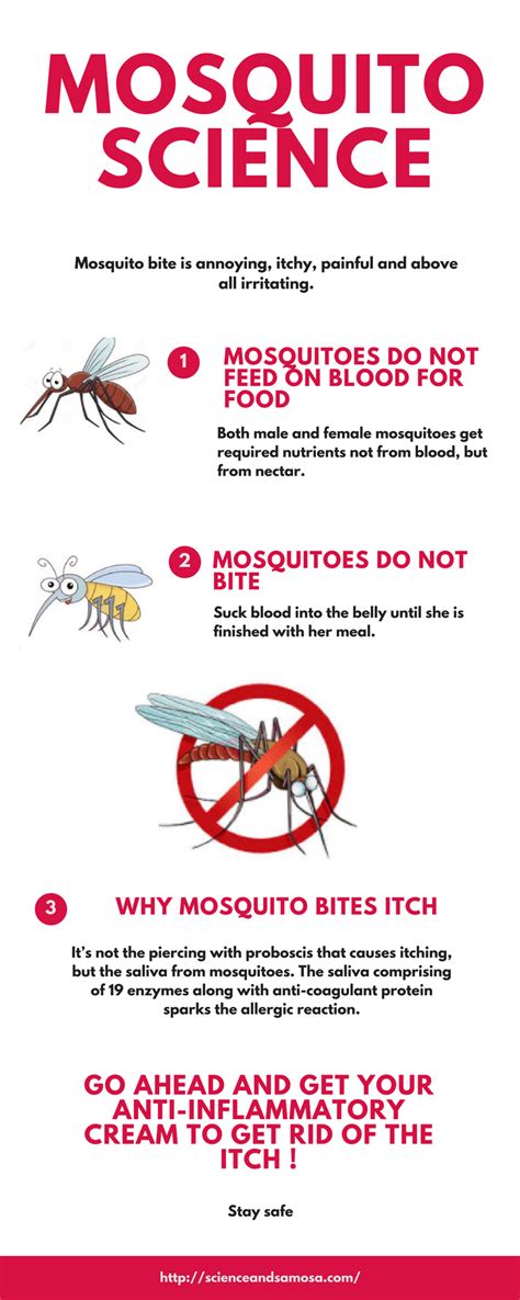 Why Mosquito Bites Itch And How To Stop Them Bug Bites Remedies
