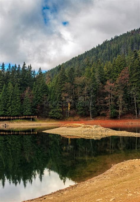 Spruce Forest On The Lake In Mountains Stock Image Image Of Pond