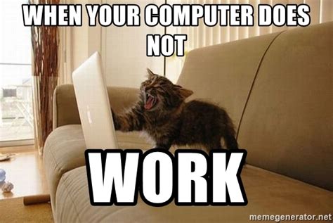 When Your Computer Does Not Work Cat Angry Cat Meme Generator