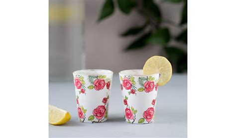 Buy Misty Morning Rose White Shot Glasses Set Of 2 Online In India Wooden Street