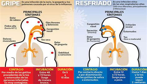 Claudio Concepcion Cómo Saber La Diferencia Entre Gripe Y Resfriado Común