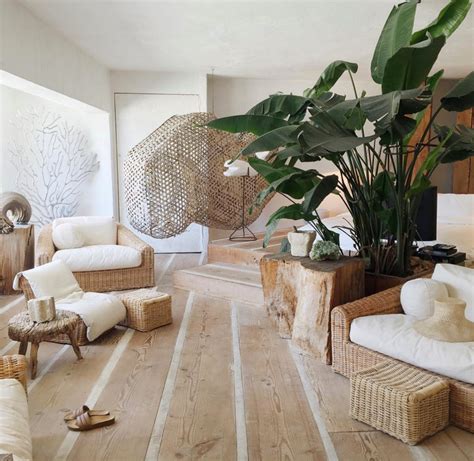 Indoor plants can have a cooling effect on your home. Shop Rattan Decor And Furniture And Browse Inspiration ...