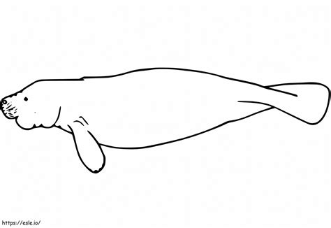 Sheenaowens Manatee Coloring Page - vrogue.co