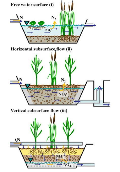 Explore the different types of wetlands, what distinguishes them from one another and how they support peatlands represent half of the earth's wetlands and cover 3% of the global total land area. Main types of artificial treatment wetlands based on ...