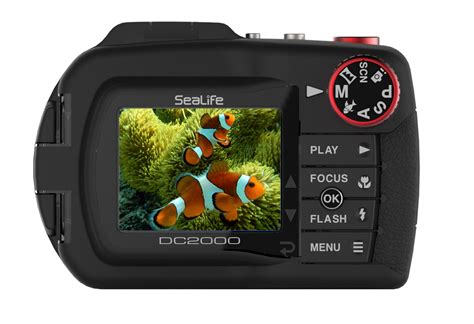 Sealife Introduces New Dc2000 Digital Underwater Camera Scuba Diver Life