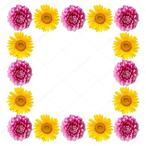 Visualizza ulteriori informazioni su sagome, bordi della pagina e. Rosa e giallo fiori cornice isolata su sfondo bianco ...