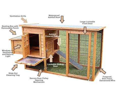 Learn How To Build Chicken Coops Or A Hen House With Easy Diy Chicken