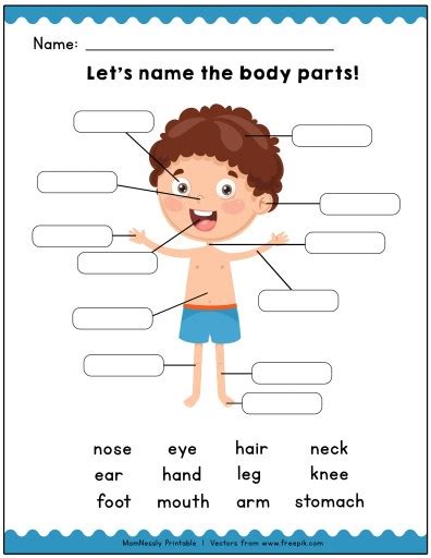 Printable Identify The Body Parts Learning Worksheets