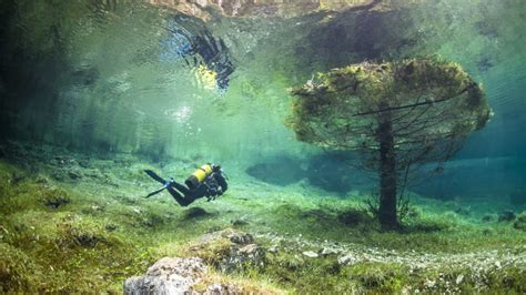 Every Year This Nature Park Transforms Into An Underwater Forest