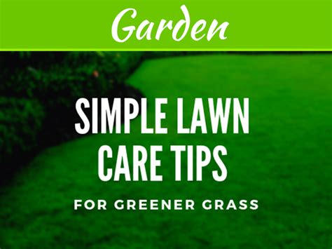Simple Lawn Care Tips For Greener Grass My Decorative