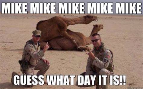 Hump Day Camel Know Your Meme The Awkward Moment When You See Dogs