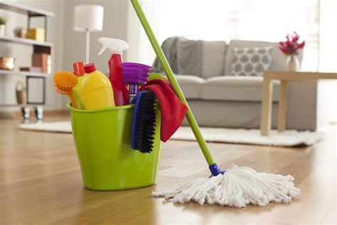 Putzen und reinigen ist für viele ein lästiges thema. Putzen macht glücklich - wenn jemand anders es für uns ...
