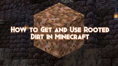 How To Get And Use Rooted Dirt In Minecraft Pillar Of Gaming