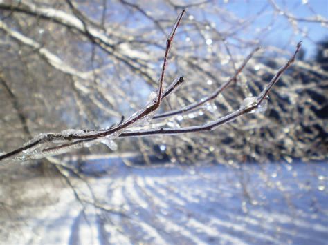 Things That Cause Icy Surfaces In Winter