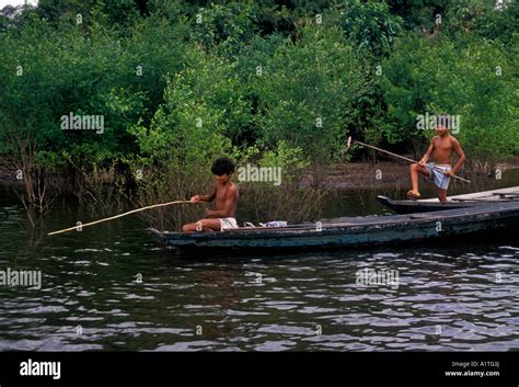 Cuenca Del Caboclo Amazonas Fotografías E Imágenes De Alta Resolución Alamy