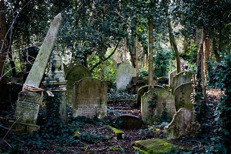 Pin By SGD Singh On Dracula Retold Old Cemeteries Highgate Cemetery