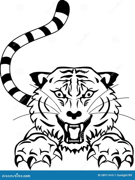 Angry View Angry Tiger Clipart Black And White PNG