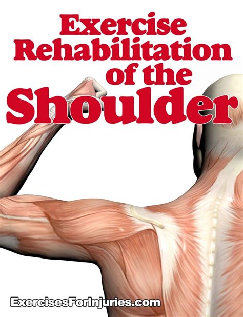 Shoulder Rehab Exercises For Impingement Soluble Fiber Vs Insoluble