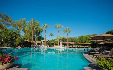 Summer Poolside Favorite Paradise Pool Paradise Pools Pool Arizona