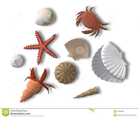 Beach Creatures Stock Image Image Of Reef Oyster Spiral