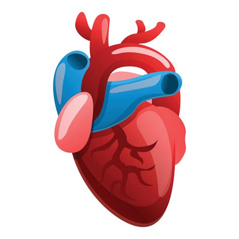 Icono De Corazón Humano De Cardiología Estilo De Dibujos Animados
