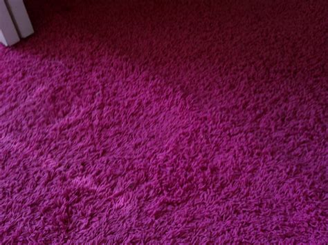 Fuschia Pink Carpets