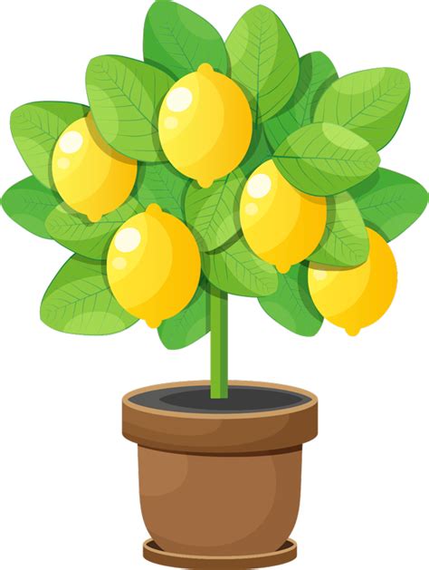 Cute Lemon Tree Fruit Wall Sticker Tenstickers