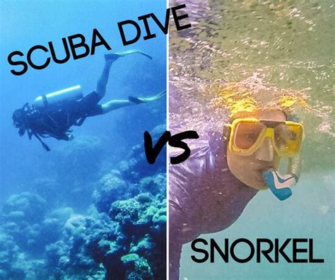 Scuba Diving Vs Snorkeling Which Is Better Gbr Case Study