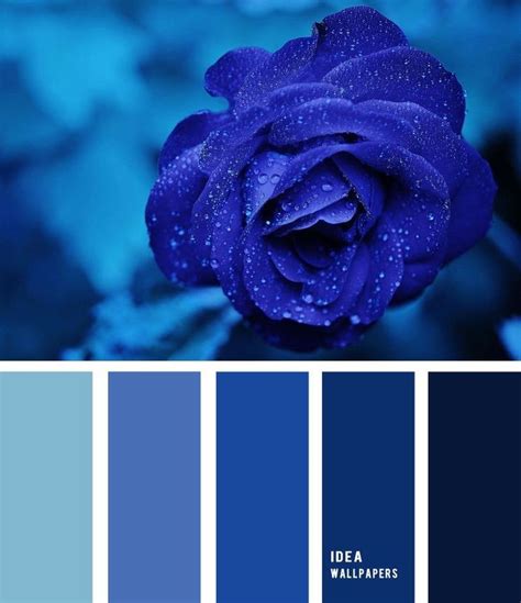 Midnight Blue Colour Palette 1905231 Idea Wallpapers Iphone