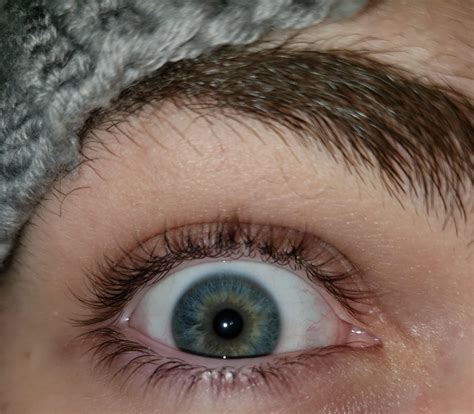 Always Wondered About What Color My Eyes Technically Are Found Out