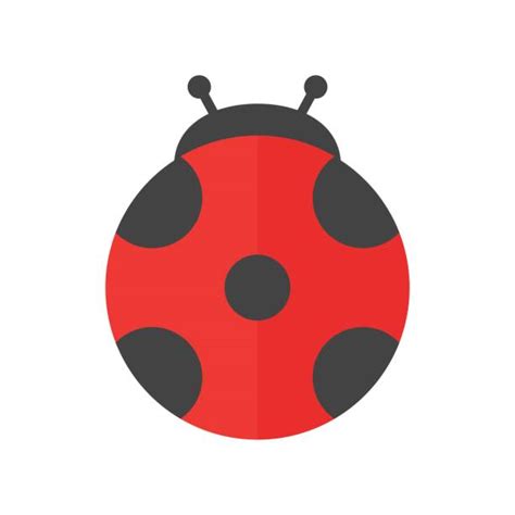 Cute Lady Bugs Clip Art Illustrations Royalty Free Vector Graphics