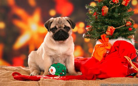 If you're looking for the best cute christmas desktop backgrounds then wallpapertag is the place to be. Christmas Wallpaper and Screensavers (60+ images)