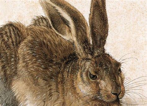 History Of Pretty Albrecht Dürer The Reason I Studied
