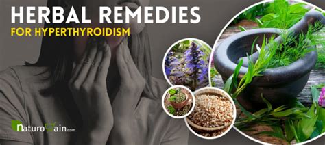 8 Herbal Remedies For Hyperthyroidism Control Symptoms Naturally