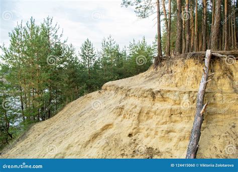 Sandy Soil Erosion Near The Pine Wood Environmental Problems Stock