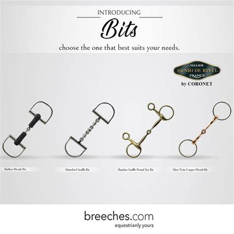 Types Of Bits For Your Horse Horse Bit Guide For Equestrians Horse