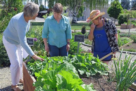 Wsu Master Gardener Program Continues To Support Food Banks Statewide