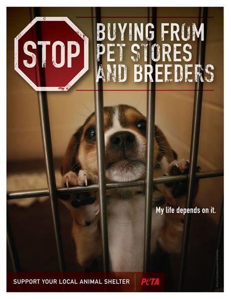 Top Dog Breeders Convicted Of Cruelty Peta