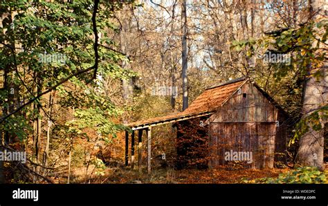 Wood Cabin Forest Hi Res Stock Photography And Images Alamy
