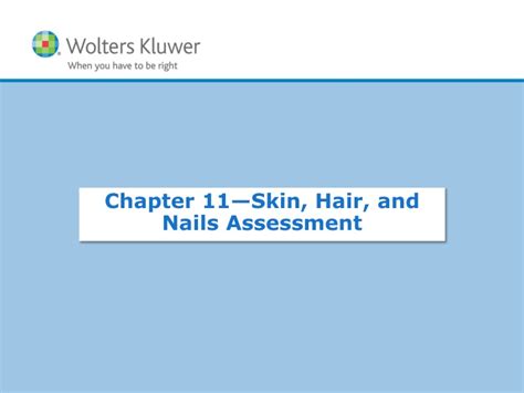 Ppt Chapter 11— Skin Hair And Nails Assessment Powerpoint