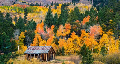 Dont Miss The Incredible Lake Tahoe Fall Colors And Activities