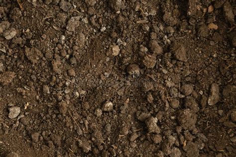 Top View Natural Soil High Quality Beautiful Photo Concept Stock Photo