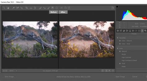 Searching for the best free lightroom presets to edit your photos? In Lightroom and Photoshop, Adobe Puts Profiles and ...