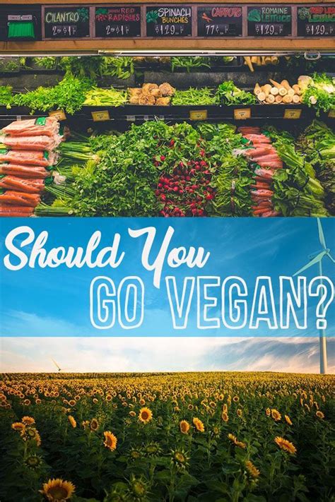I Explore The Question Should You Go Vegan Along With The The